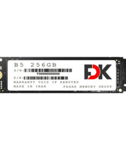 حافظه SSD فدک FDK B5 256GB M.2